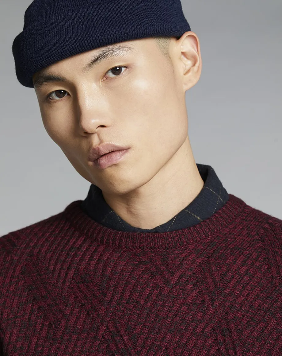AGI KNIT MENS JUMPER | PLUM