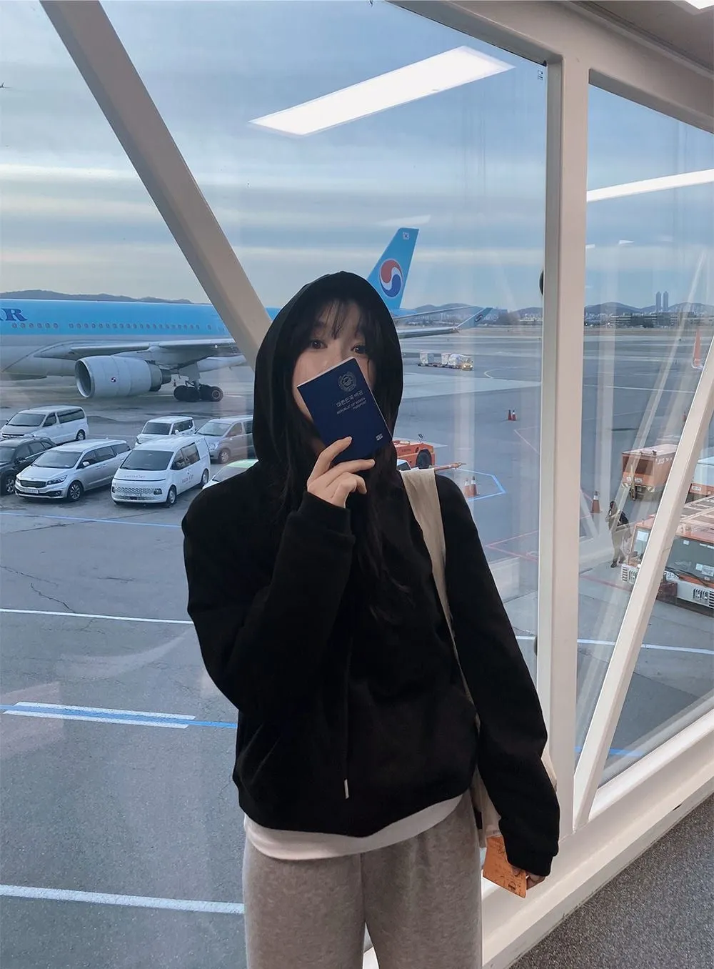 Flytonnshop fall outfits women Korean Style 2024 Spring and Autumn New Outdoor Commuter Popular Loose Hooded Top Loose Comfortable Cotton Sweater Women's Fashion