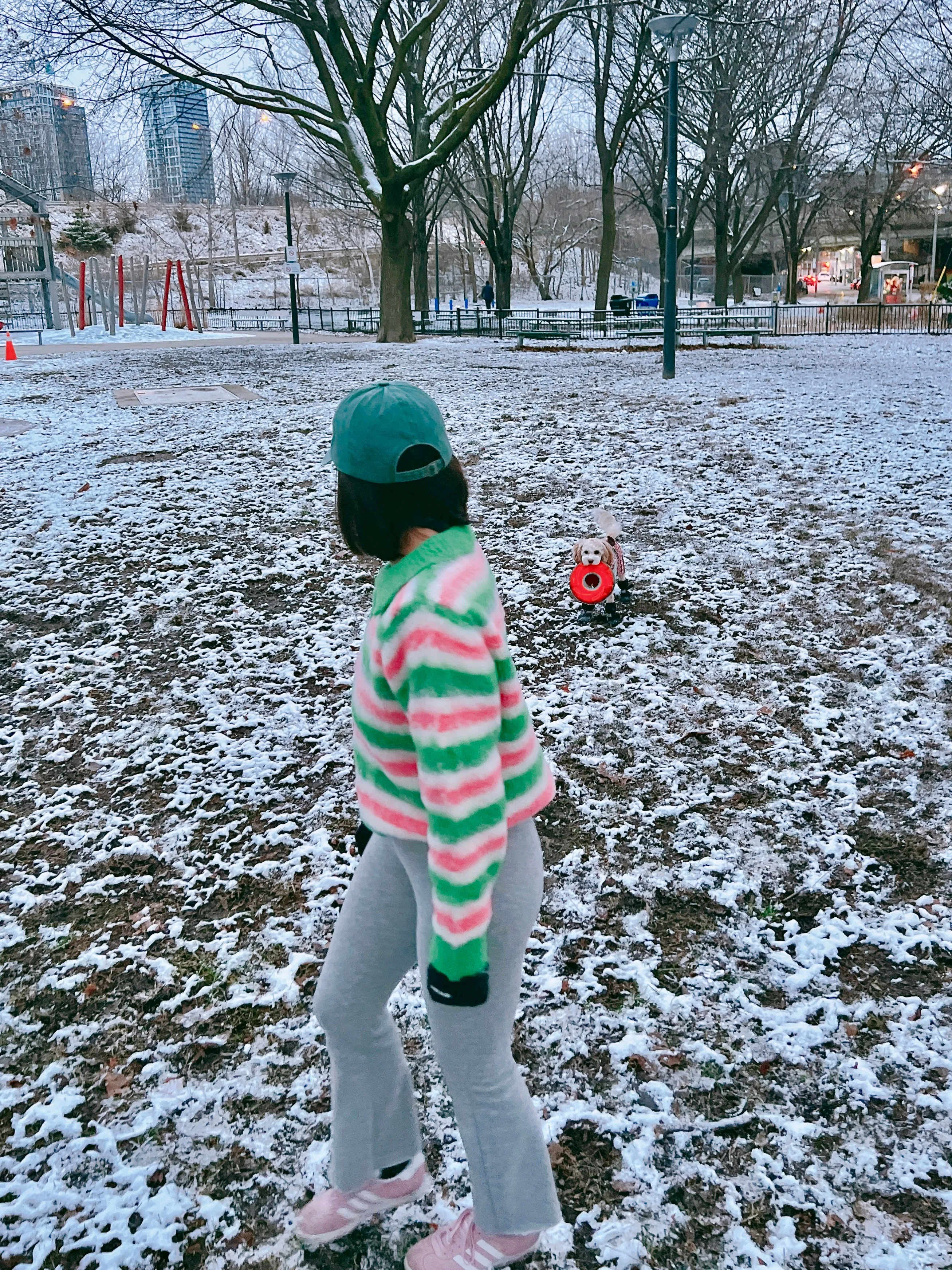 NORTH Stripe sweater