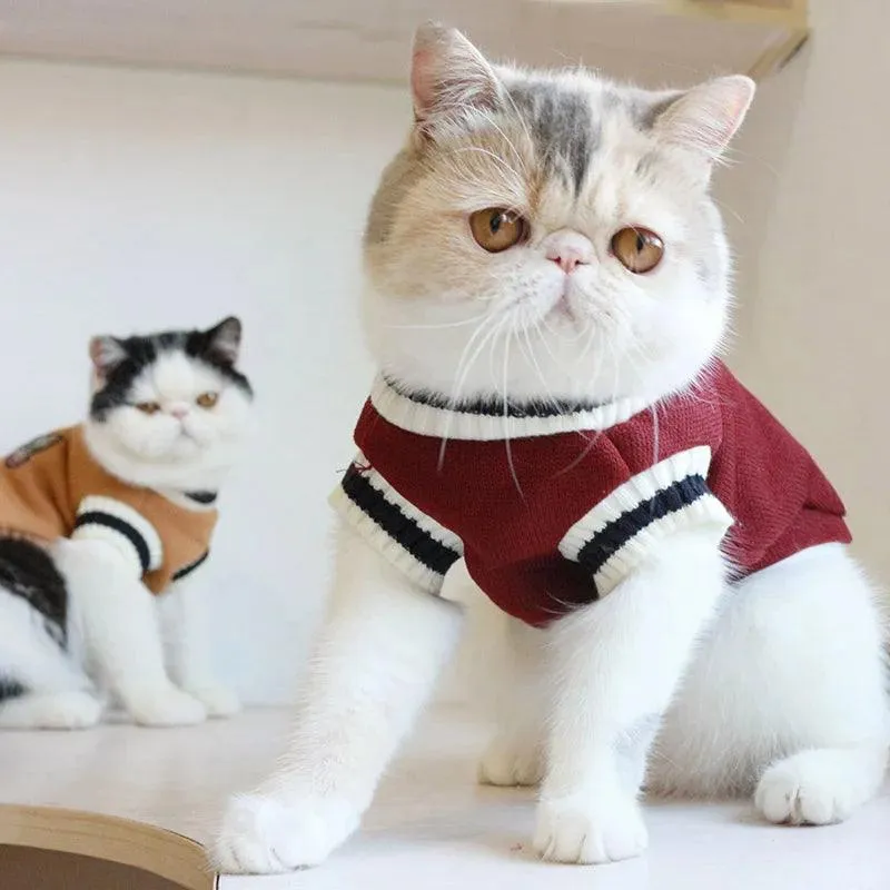 Tailored Tabby Cat Sweater